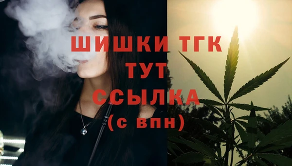дмт Алзамай