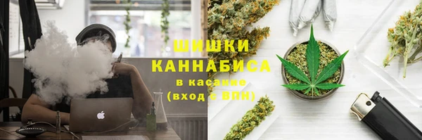 spice Алексеевка