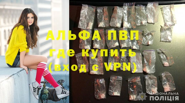 дмт Алзамай