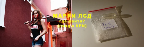 дмт Алзамай
