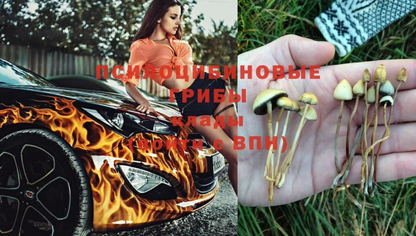 spice Алексеевка