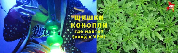 дмт Алзамай